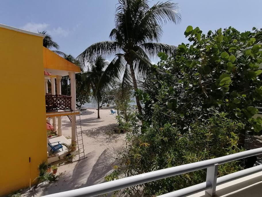 Marysol Great Views Beachfront Next To Nomads D3 Isla Mujeres Eksteriør billede