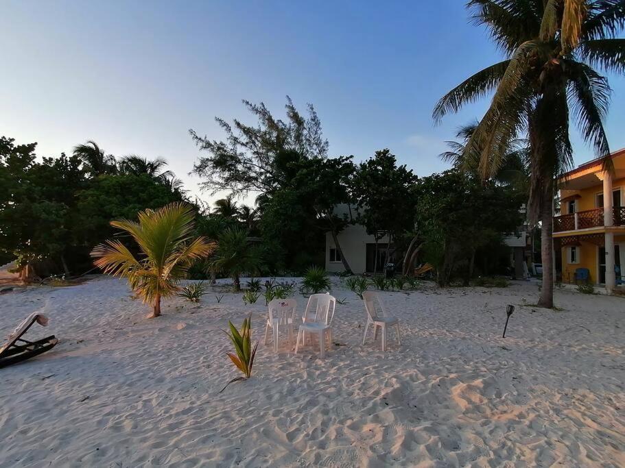 Marysol Great Views Beachfront Next To Nomads D3 Isla Mujeres Eksteriør billede