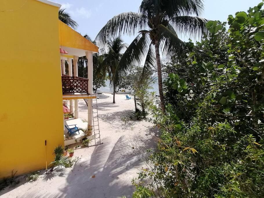 Marysol Great Views Beachfront Next To Nomads D3 Isla Mujeres Eksteriør billede