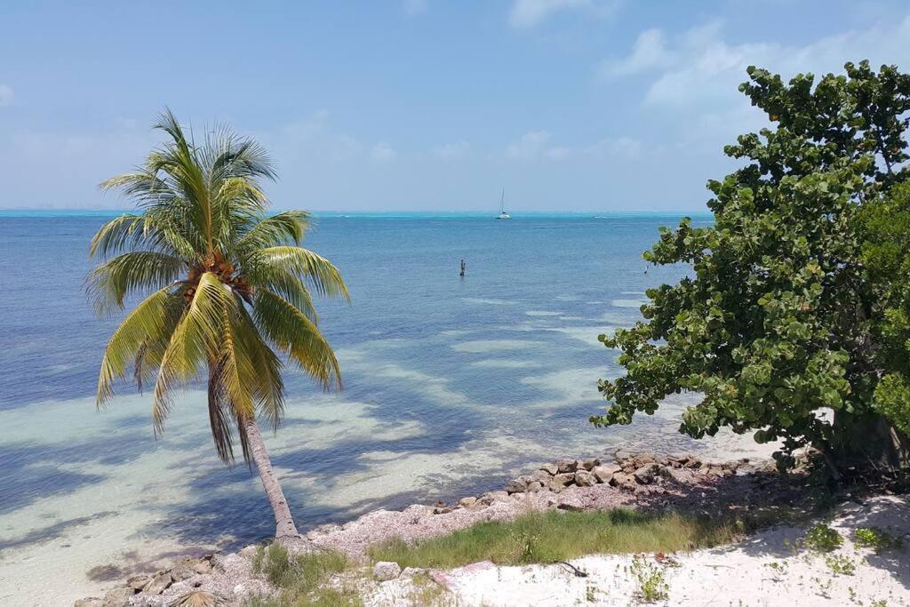 Marysol Great Views Beachfront Next To Nomads D3 Isla Mujeres Eksteriør billede